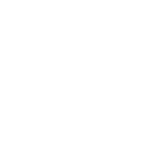 edecom-white EDECOM